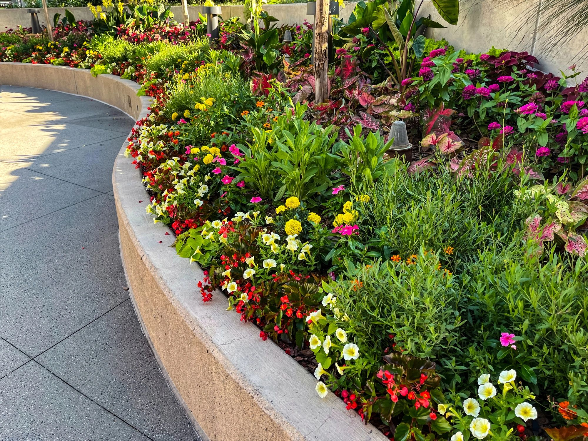 Atlanta landscaping team outdoor